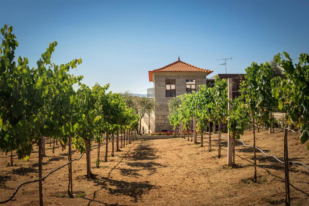 Quinta Do Aido - Winetourism Villa Синфаес Екстериор снимка
